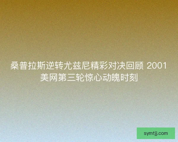 桑普拉斯逆转尤兹尼精彩对决回顾 2001美网第三轮惊心动魄时刻